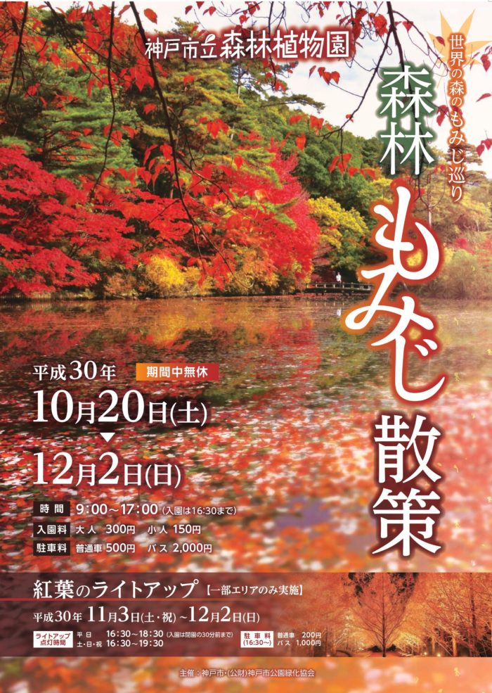紅葉のシーズンにぴったりの 紅葉のライトアップ 11 3 12 2 神戸市立森林植物園 神戸ジャーナル