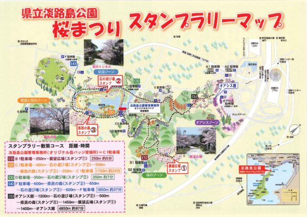 淡路saに隣接する兵庫県立淡路島公園で 桜まつり 4 1 15 900本の桜が咲き誇る 神戸ジャーナル