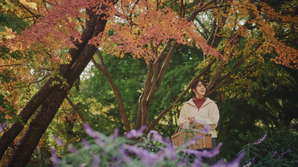 神戸布引ハーブ園 紅葉 布引