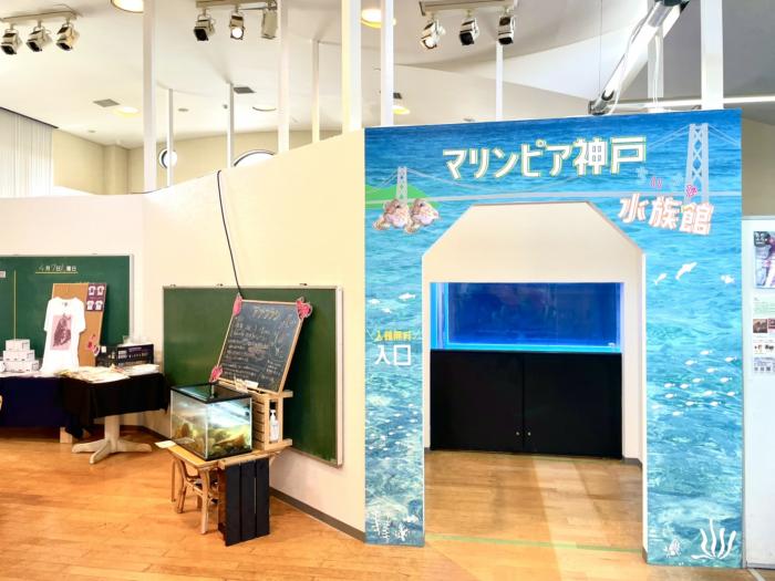 マリンピア神戸の さかなの学校 に 小さな水族館 ができるみたい 7 22 塩づくり などのワークショップも 入館料無料 神戸ジャーナル