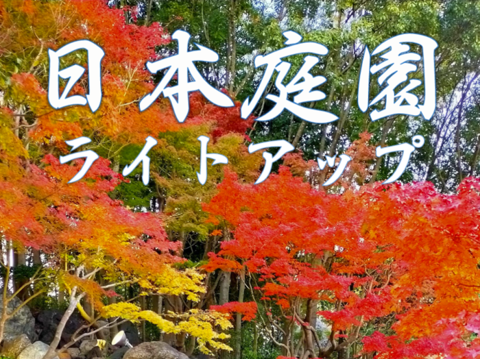 北区 しあわせの村 の日本庭園で 紅葉のライトアップ が開催されるみたい お茶菓子の販売も 神戸ジャーナル