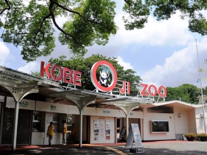 神戸市が 王子公園 の再整備を発表 公園内に大学を誘致 王子動物園はリニューアル 神戸ジャーナル