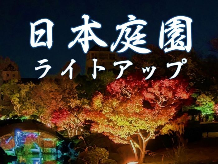しあわせの村 の日本庭園で 紅葉のライトアップ 10 29 11 14 抹茶 和菓子の販売も 神戸ジャーナル