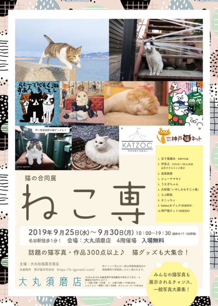 話題の猫写真も 猫に癒される合同展 ねこ専 9 25 30 大丸須磨店 神戸ジャーナル