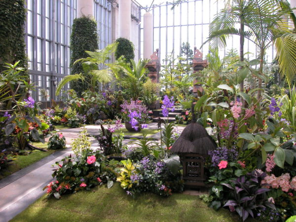奇跡の星の植物館でバリのリゾートガーデンを再現 トロピカルガーデンショー18 神々が宿る島 7 14 9 9 淡路夢舞台 神戸ジャーナル
