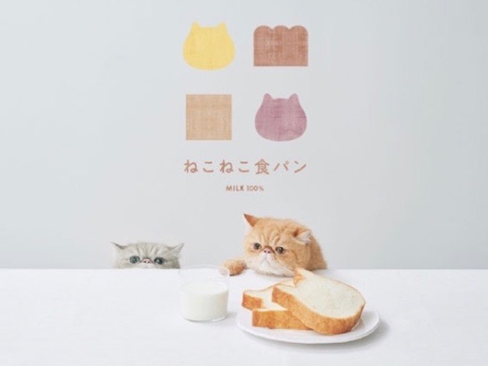 神戸マルイ に猫の形の高級食パン ねこねこ食パン が出店してる 4月13日 火 まで 神戸ジャーナル