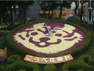 東遊園地の こうべ花時計 が 来年の干支 とら になってる 新たな図書館 こども本の森 神戸 も建物完成 神戸ジャーナル