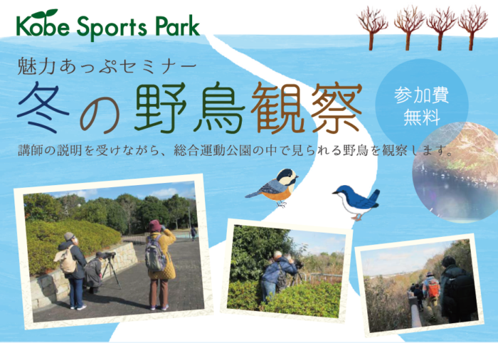 総合運動公園が 冬の野鳥観察 の参加者を募集してる 1 17 日本野鳥の会 がガイド 神戸ジャーナル