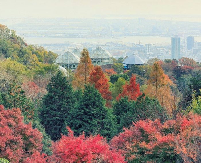 思わずシャッターを押したくなる 神戸で 紅葉 が美しいスポット8選 神戸ジャーナル