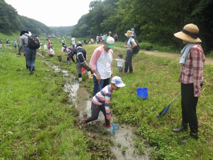 アウトドア系の人気プログラム アメリカザリガニ捕獲大作戦 里山の困った外来種対策 10 27 あいな里山公園 無料開園日 神戸ジャーナル