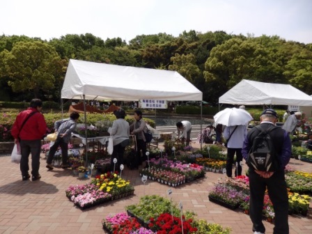 神戸市最大の花みどりイベント 花のフェスタこうべ18 4 28 神戸総合運動公園 神戸ジャーナル