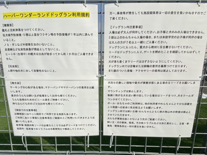 モザイクに 芝生ドッグラン ができてる 神戸港のビュースポットで愛犬とまったり 2 14まで 神戸ジャーナル