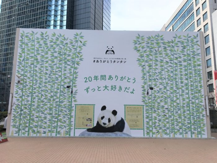 神戸市役所横の壁が「王子動物園」の人気アニマルの写真でいっぱいに