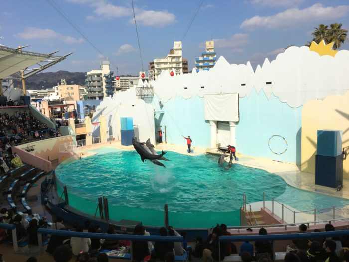 垂水区の ブルメール舞多聞 に水槽ができる 出張 スマスイスマイル水族園 4 24 5 5 クイズラリーも 神戸ジャーナル