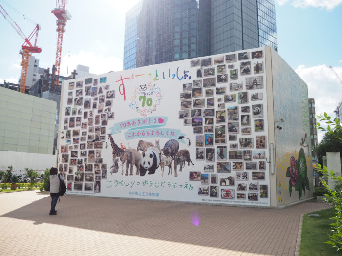 神戸市役所横の壁が「王子動物園」の人気アニマルの写真でいっぱいに