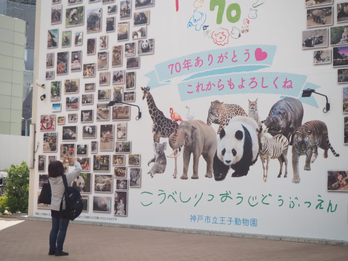 神戸市役所横の壁が「王子動物園」の人気アニマルの写真でいっぱいに