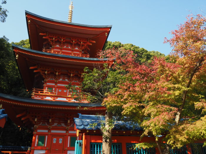 須磨寺 の紅葉が色づき始めてる 火祭り と一緒に楽しめそう 神戸ジャーナル