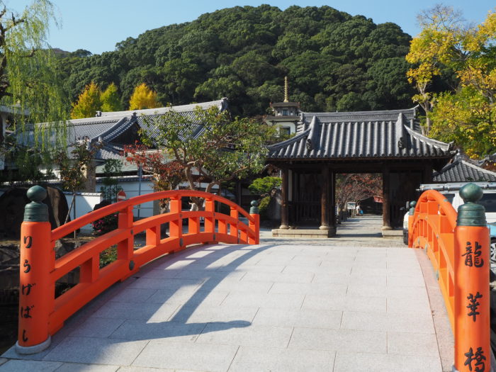 須磨寺 の紅葉が色づき始めてる 火祭り と一緒に楽しめそう 神戸ジャーナル