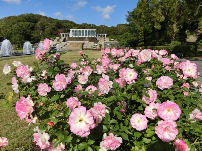須磨離宮公園 神戸迎賓館で ガイド付き散策 や 特別ランチ が楽しめるイベントが開催されるみたい 神戸ジャーナル