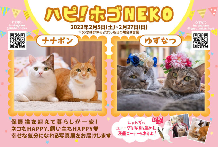 王子公園近くの猫カフェで 保護猫に注目した写真展 ハピ ホゴneko 2月27日 日 まで 売上の一部は保護猫活動へ 神戸ジャーナル