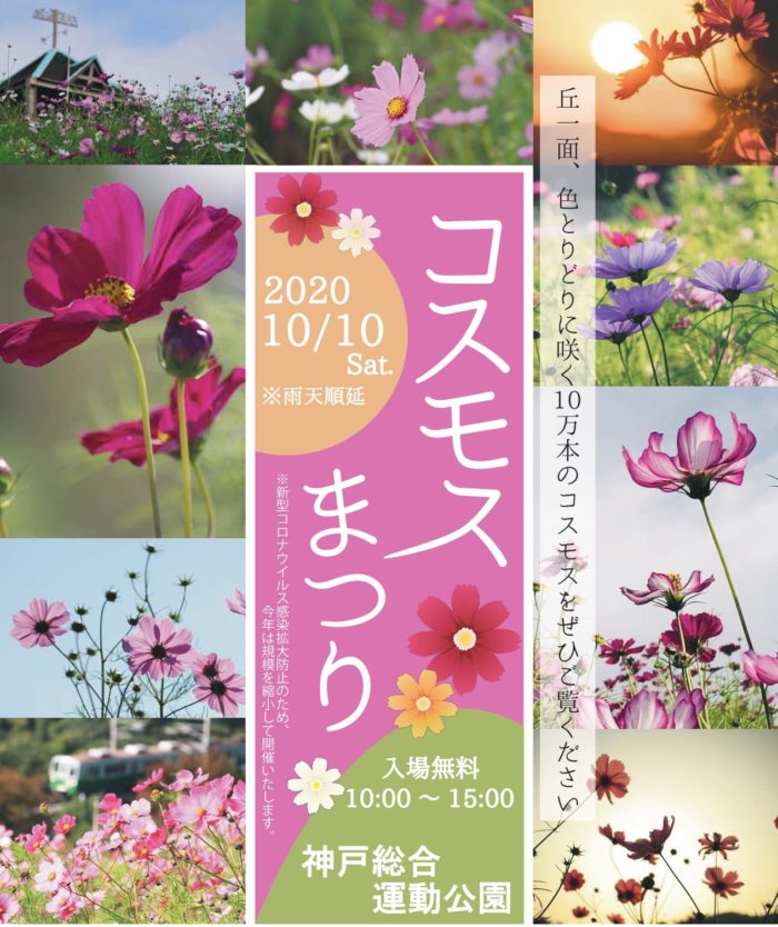 神戸総合運動公園 で約10万本が咲き誇る コスモスまつり が開催されるみたい 遊びコーナーやスタンプラリーも 10 10 入場無料 神戸ジャーナル