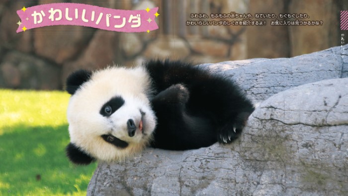 王子動物園のタンタンも登場する 1冊すべてパンダに注目した パンダ図鑑 が発売されるみたい 7 26 神戸ジャーナル