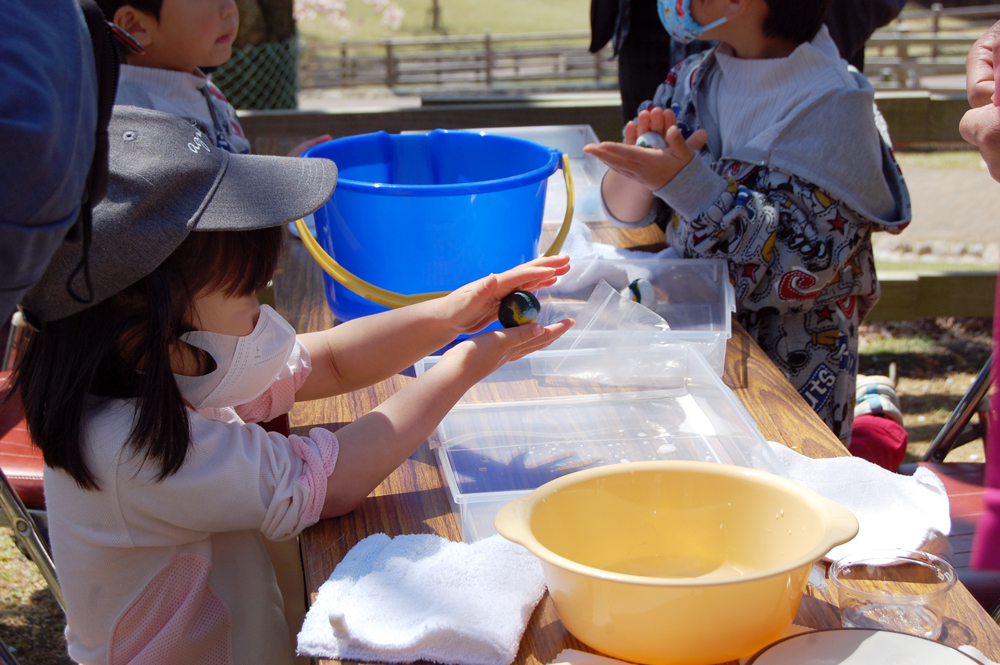 チーズフェスティバル 六甲山牧場