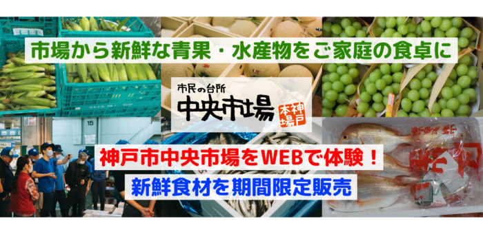 WEB体験