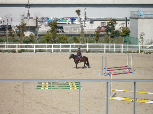 乗馬