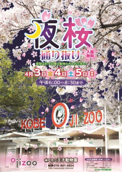 春の風物詩 王子動物園で 夜桜通り抜け 4 3 金 4 5 日 の3日間限定で入園料は無料だそうな 神戸ジャーナル