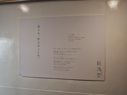 P4181234