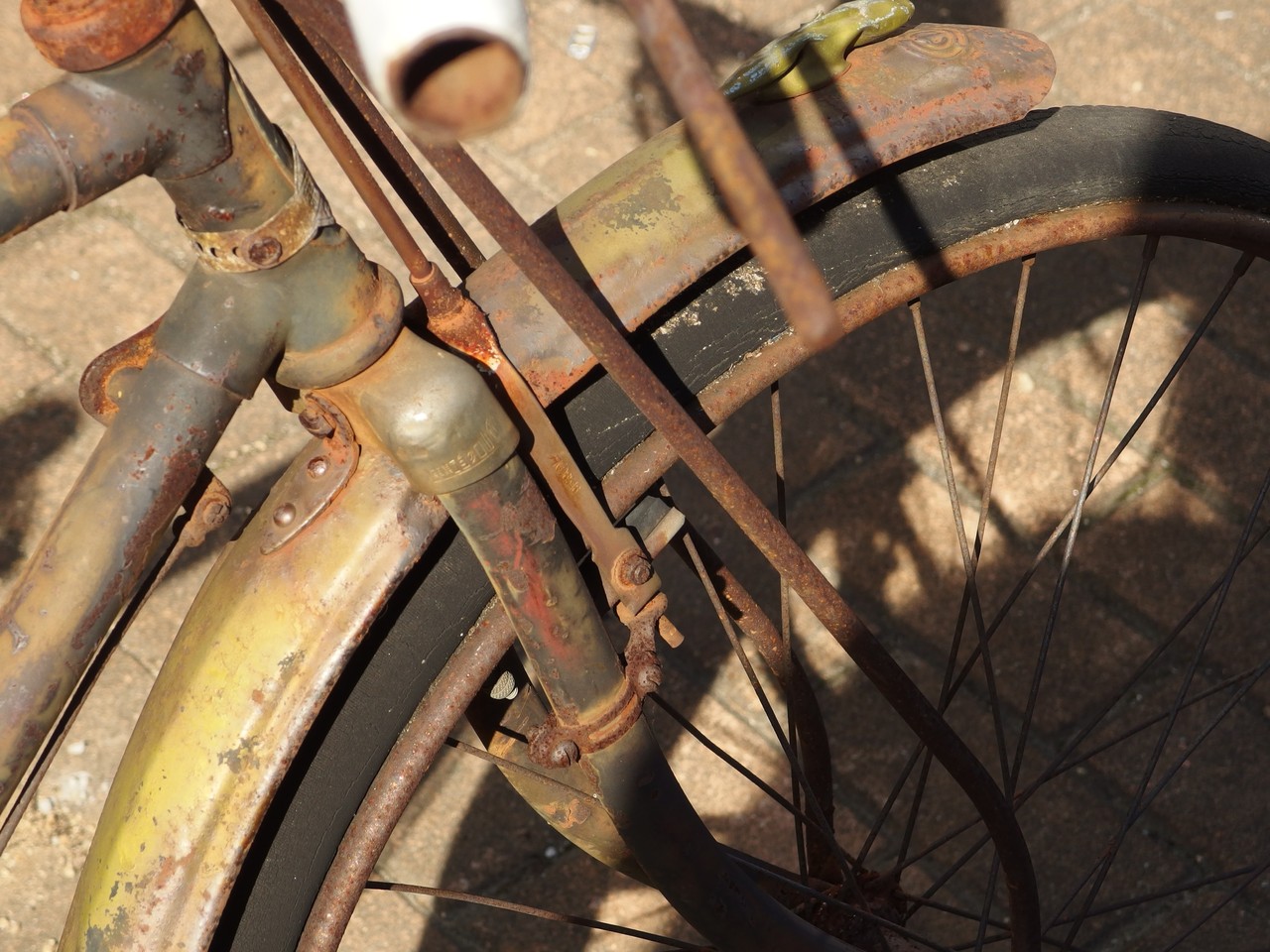 神戸 自転車