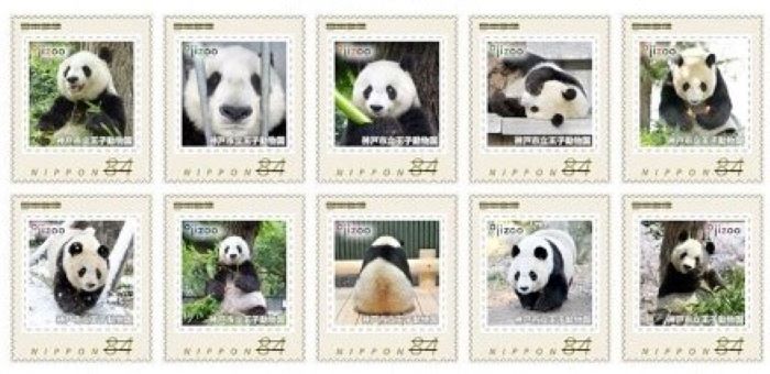 王子動物園の「タンタン」へ感謝を込めた『オリジナルフレーム切手』が