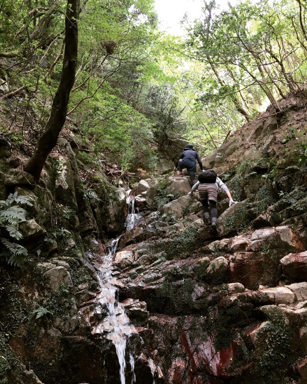 六甲山 ロックガーデン