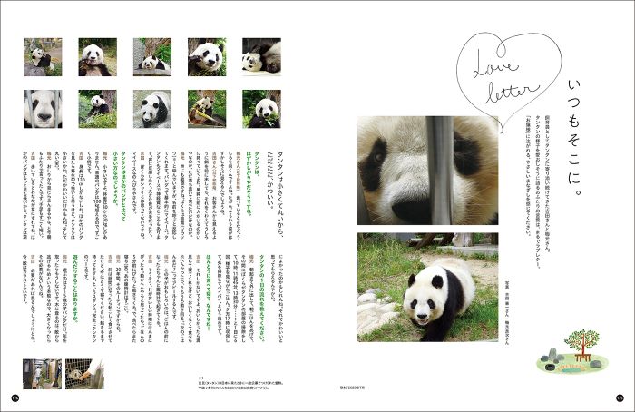 1万枚を越える応募で完成した写真集 神戸市立王子動物園のシャイなパンダ タンタン の予約が始まってる 神戸ジャーナル