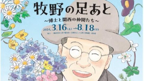 六甲高山植物園 牧野富太郎 らんまん 植物学者 牧野博士
