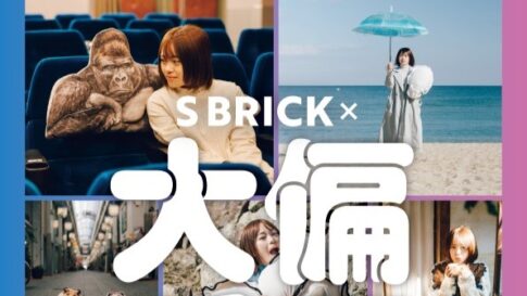 ⼤偏愛展×S BRICK 淡路島 フェリシモ