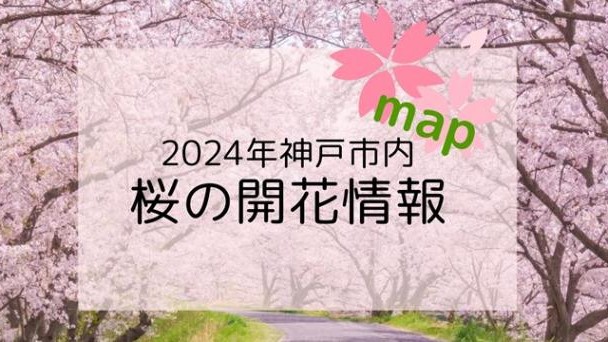 神戸 桜の名所 マップ