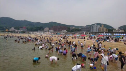 須磨 潮干狩り