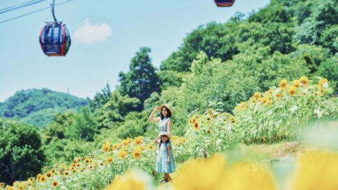神戸布引ハーブ園 ガーデンフェスト garden fest