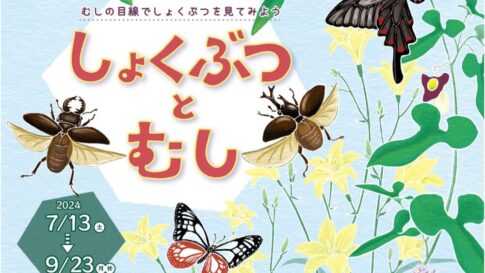 六甲高山植物園 しょくぶつとむし 食虫植物 展示