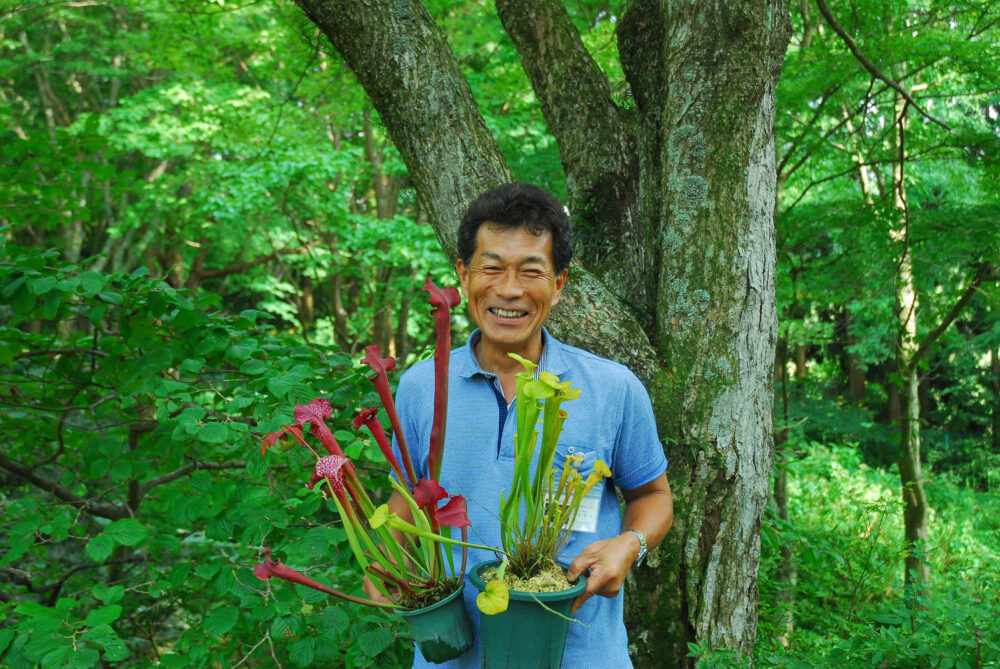 六甲高山植物園 しょくぶつとむし 食虫植物 展示