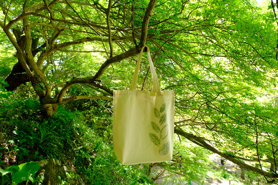 六甲高山植物園 しょくぶつとむし 食虫植物 展示