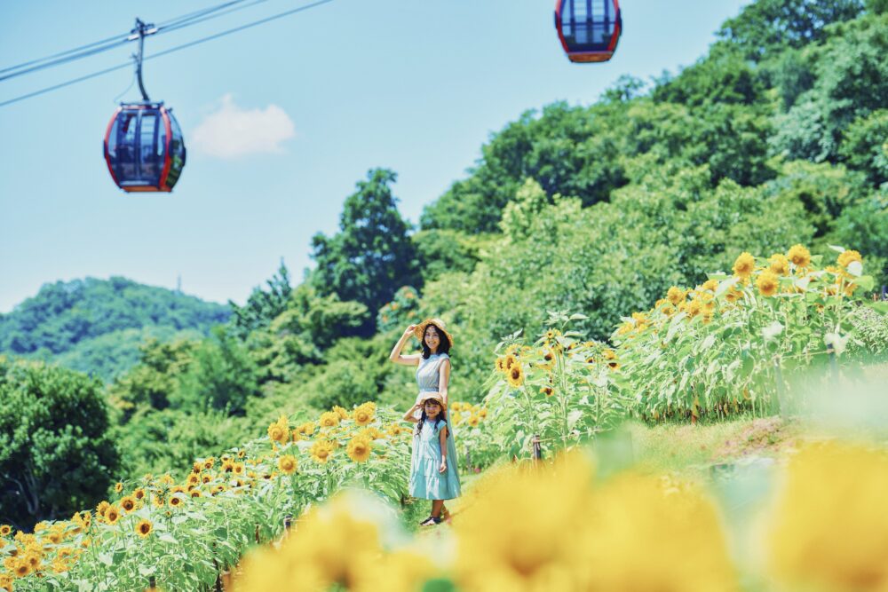 神戸布引ハーブ園 ガーデンフェスト garden fest