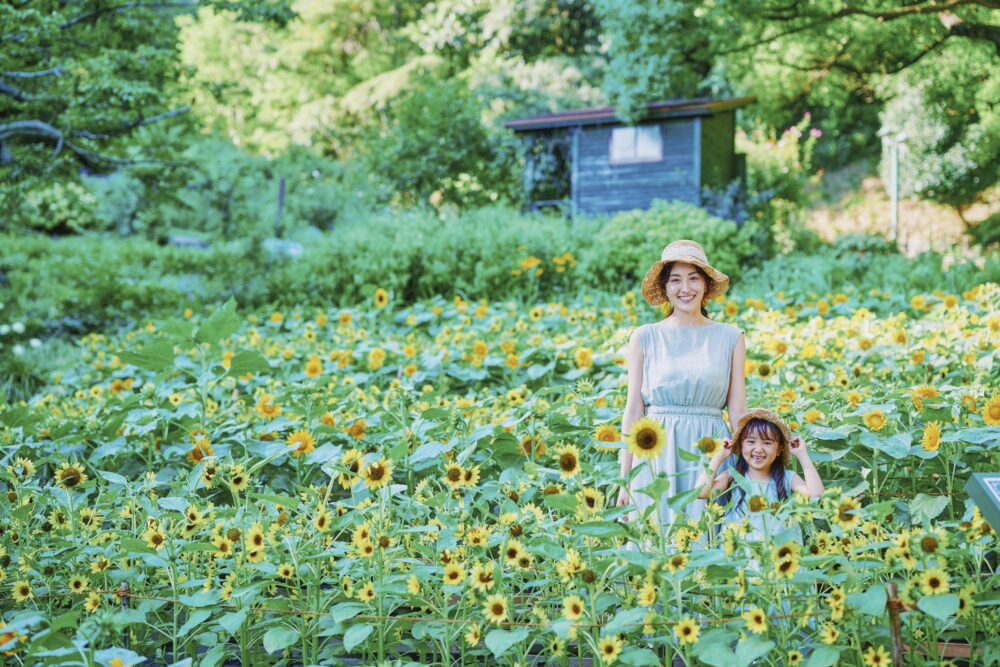 神戸布引ハーブ園 ガーデンフェスト garden fest