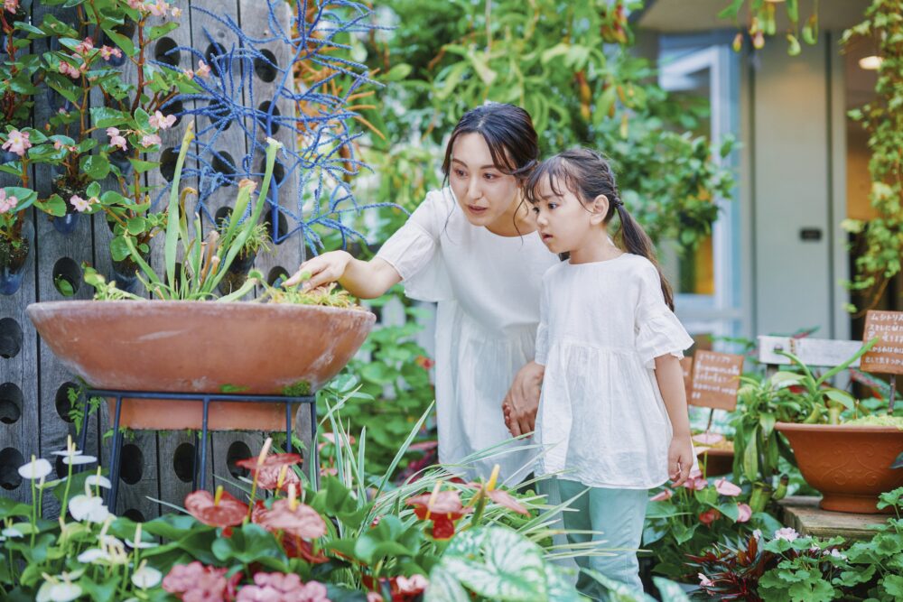 神戸布引ハーブ園 ガーデンフェスト garden fest