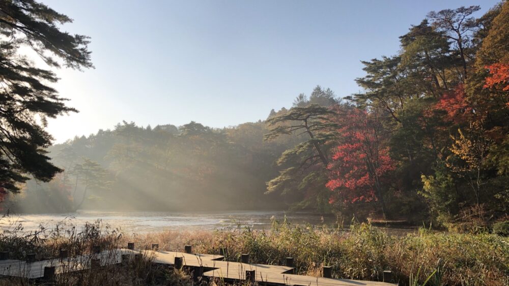 神戸市立 森林植物園