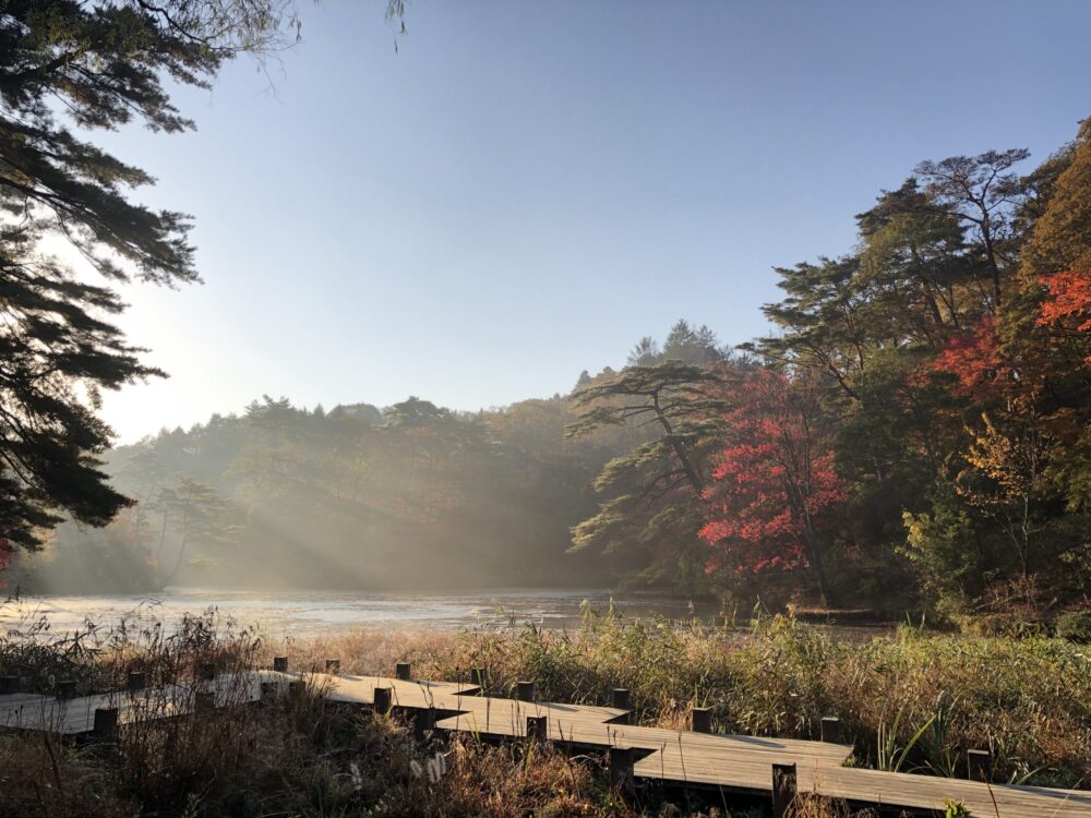 神戸市立 森林植物園