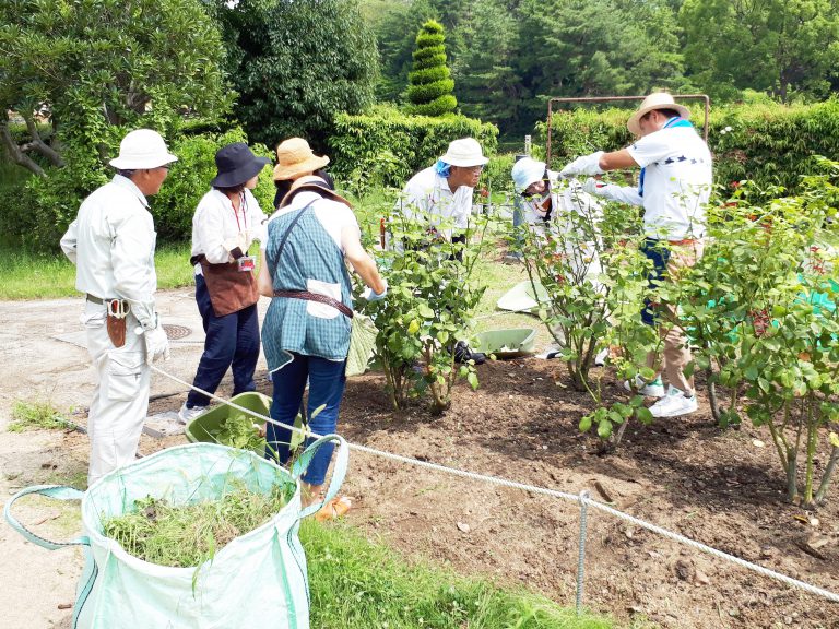 須磨離宮公園 バラ 鑑賞会