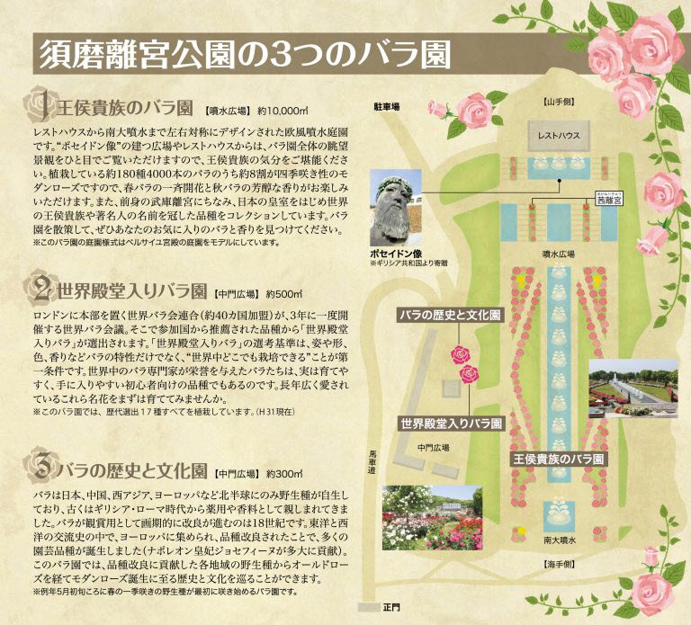 須磨離宮公園 バラ 鑑賞会